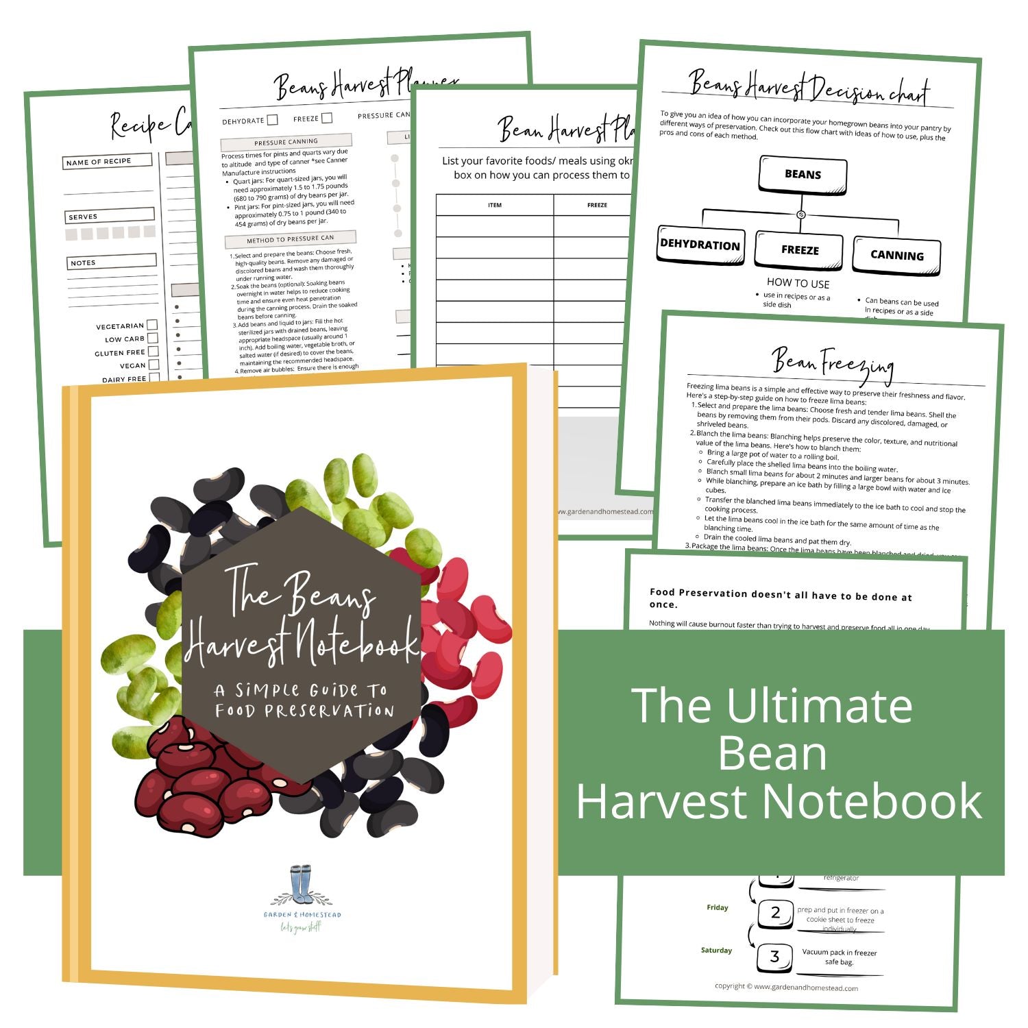 The Bean Harvest Notebook