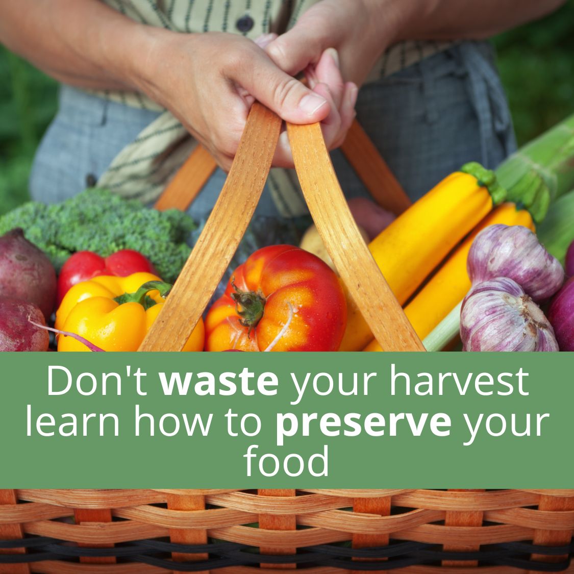 The Ultimate Summer Harvest Notebook