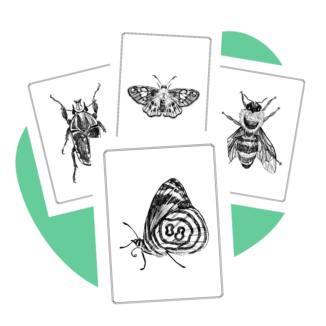 Bug and Insect coloring book