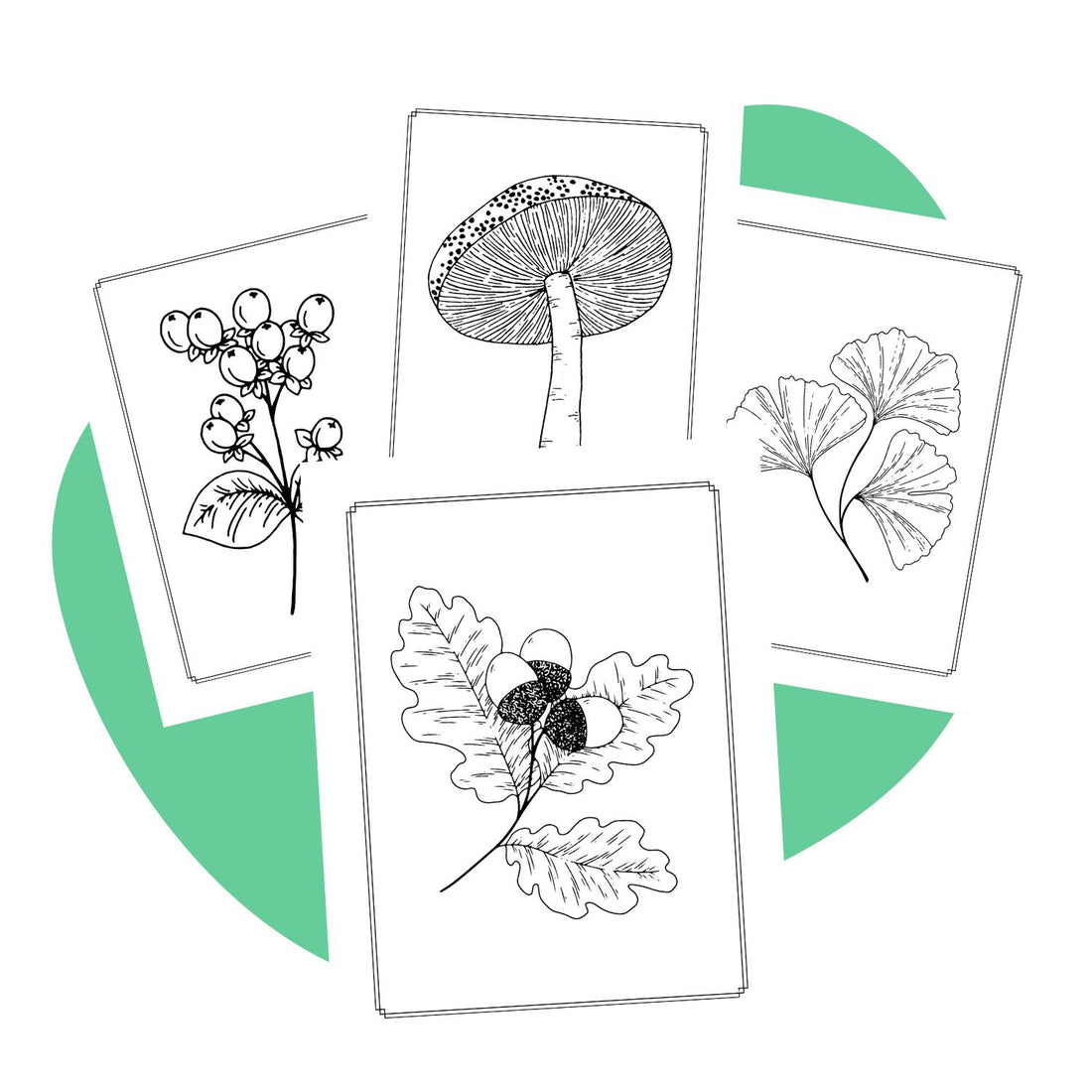 Garden and Nature Coloring Book