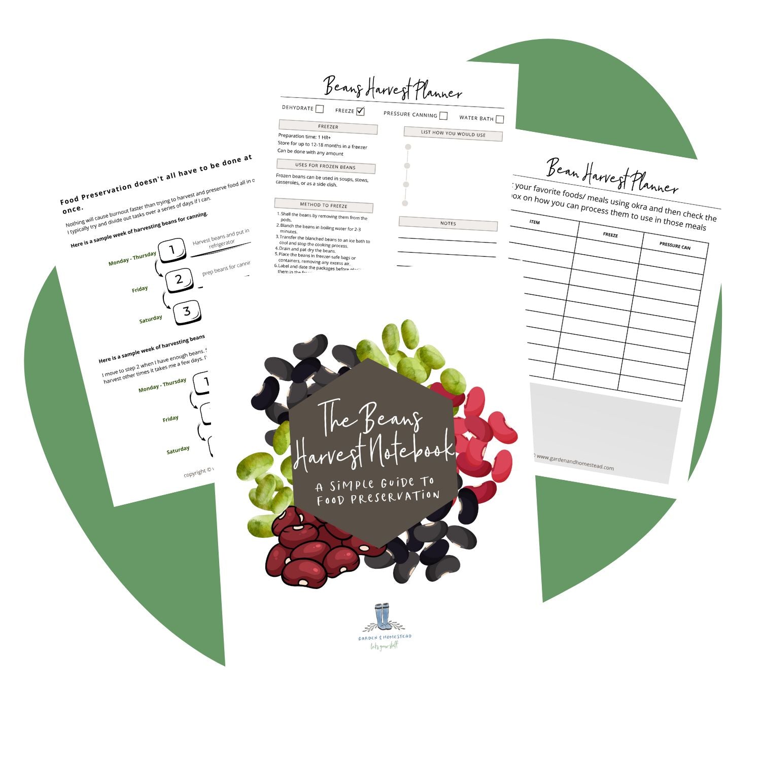 The Bean Harvest Notebook