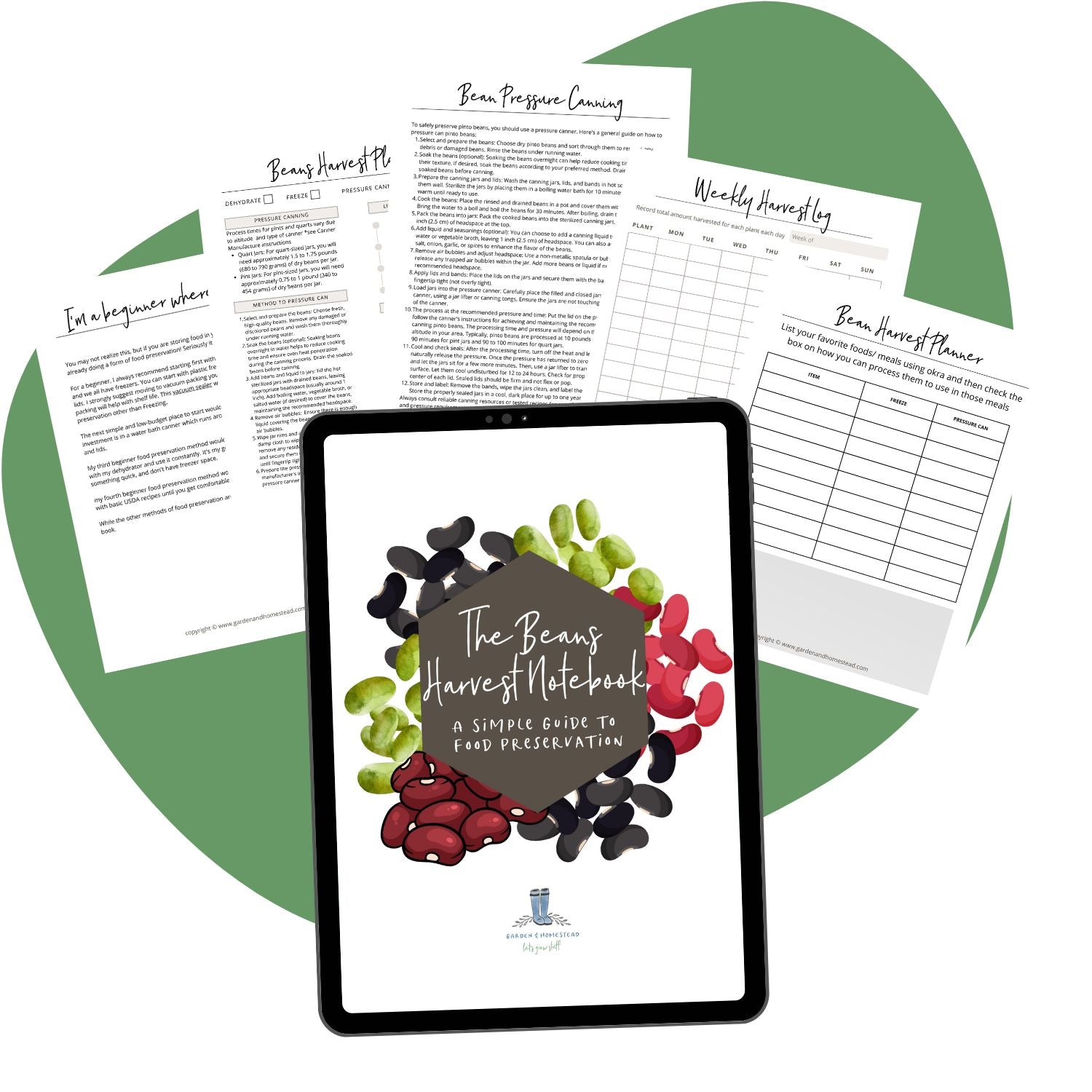 The Bean Harvest Notebook