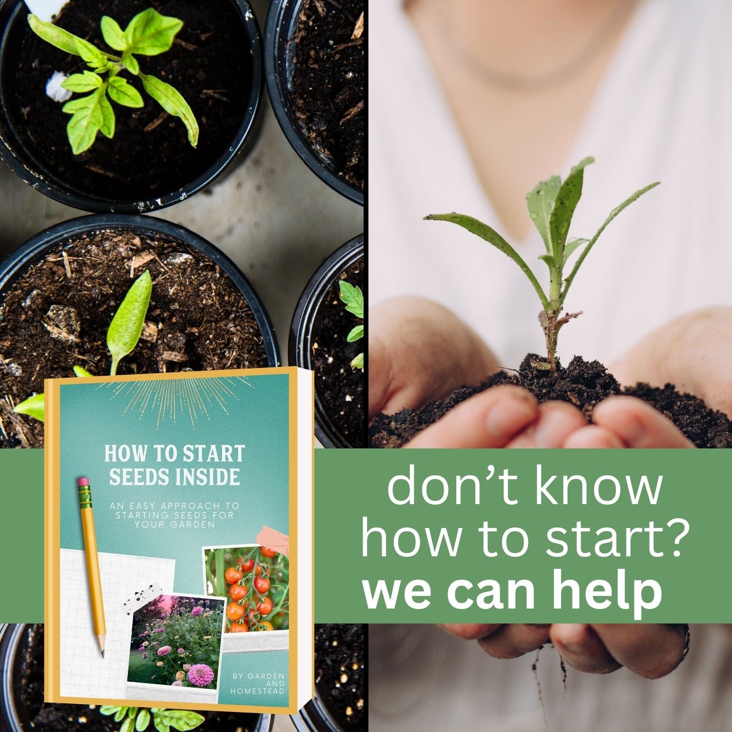 How to start seeds inside- Guide