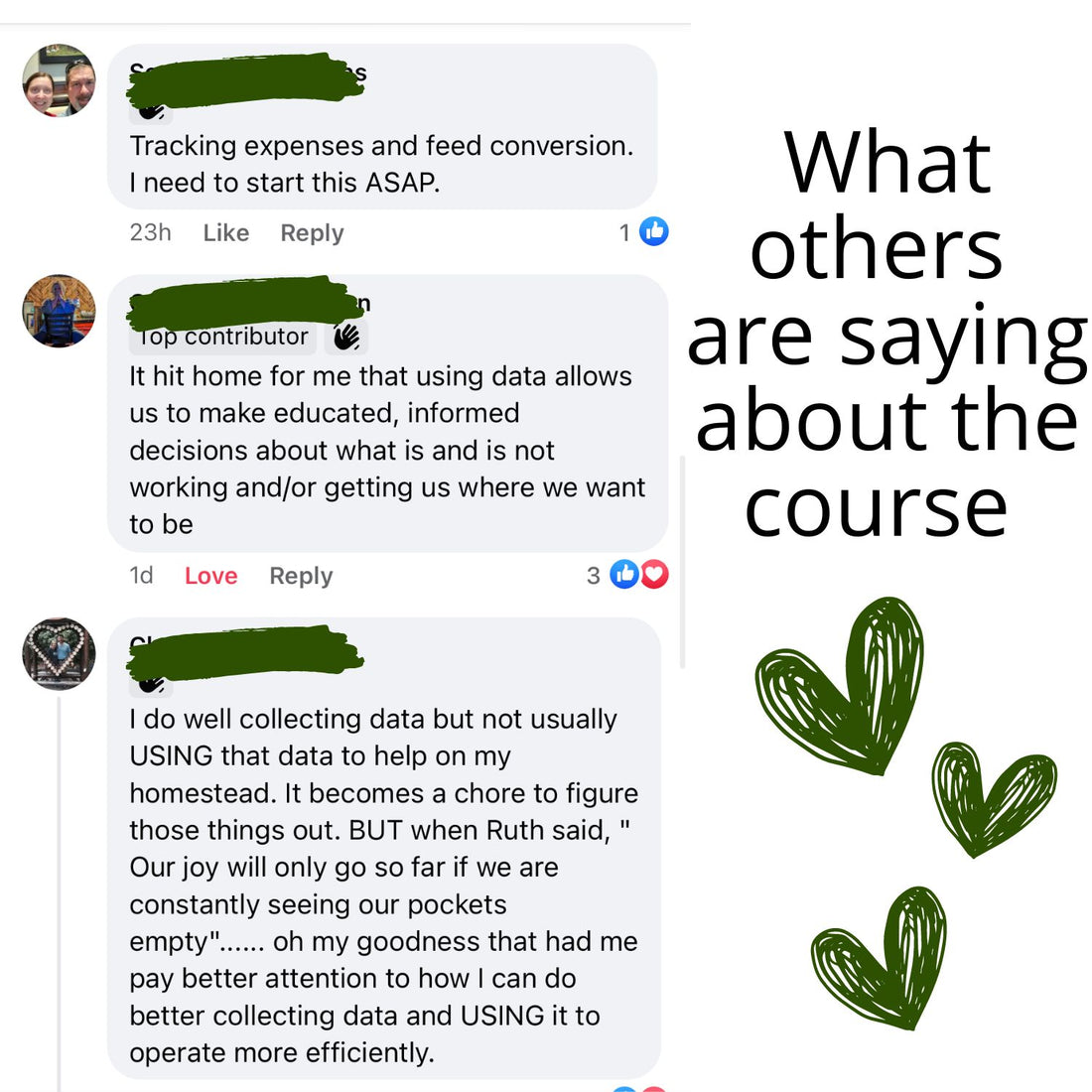 Mini Course- Homestead Harvest