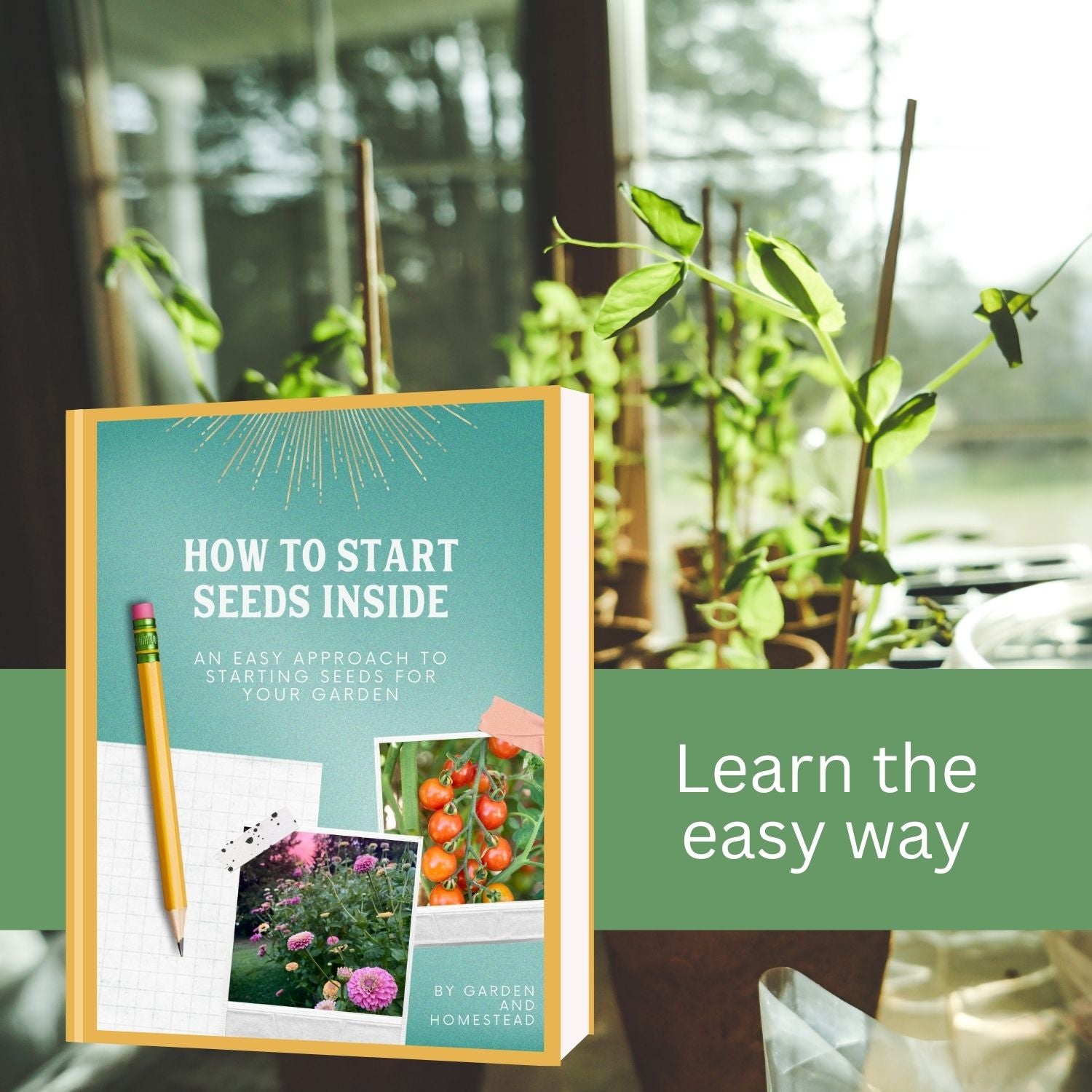 How to start seeds inside- Guide