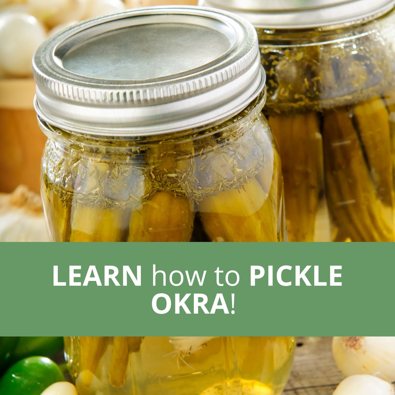 The Okra Harvest Notebook