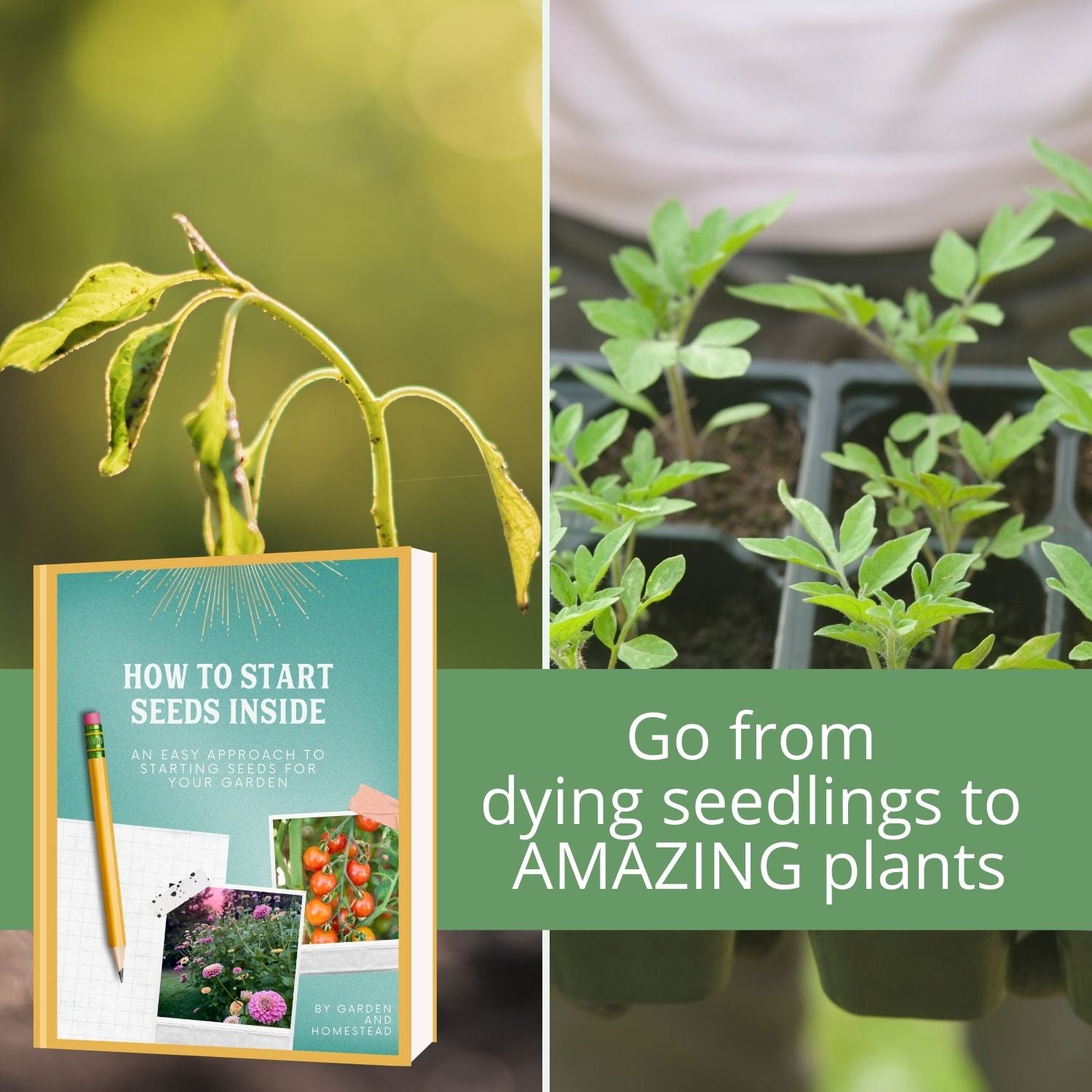 How to start seeds inside- Guide