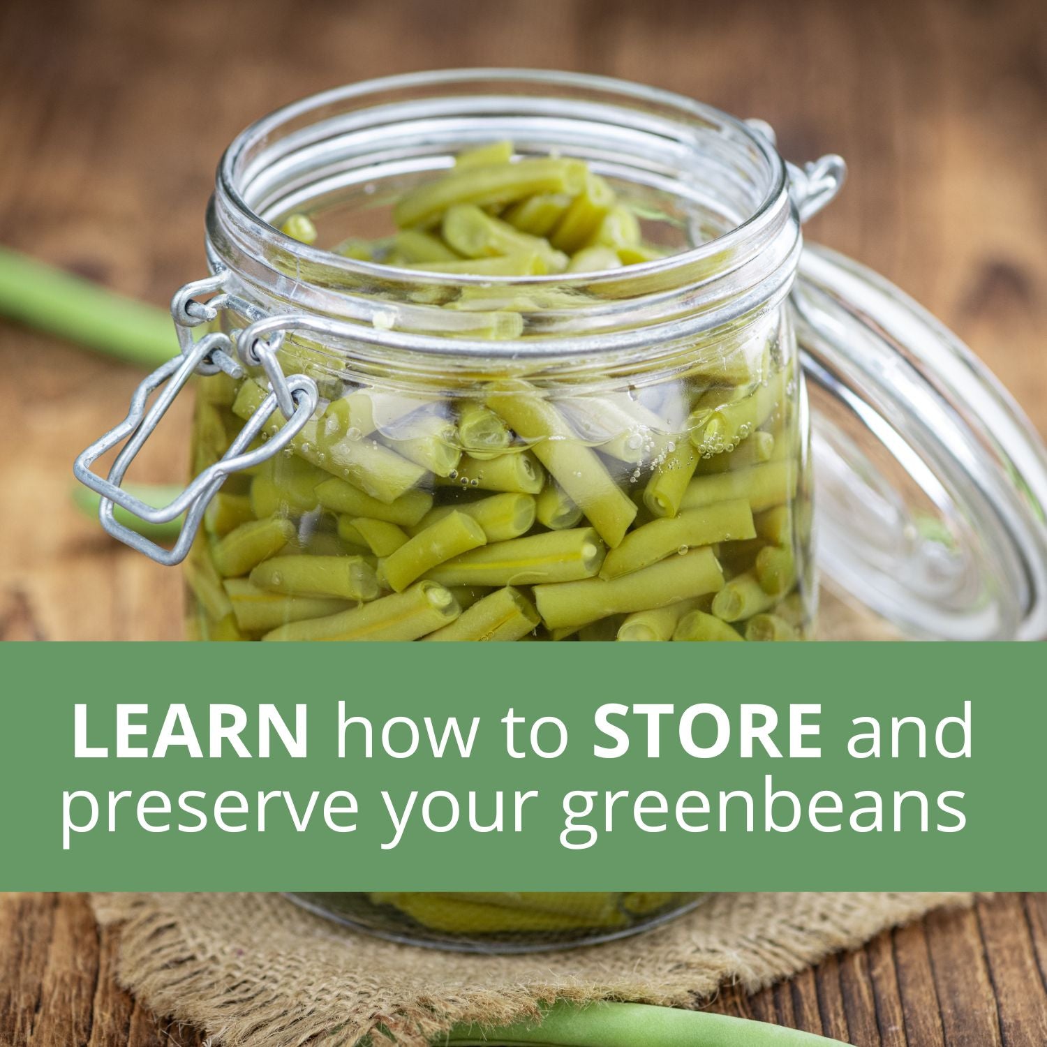 The Green Bean / Pea Harvest Notebook