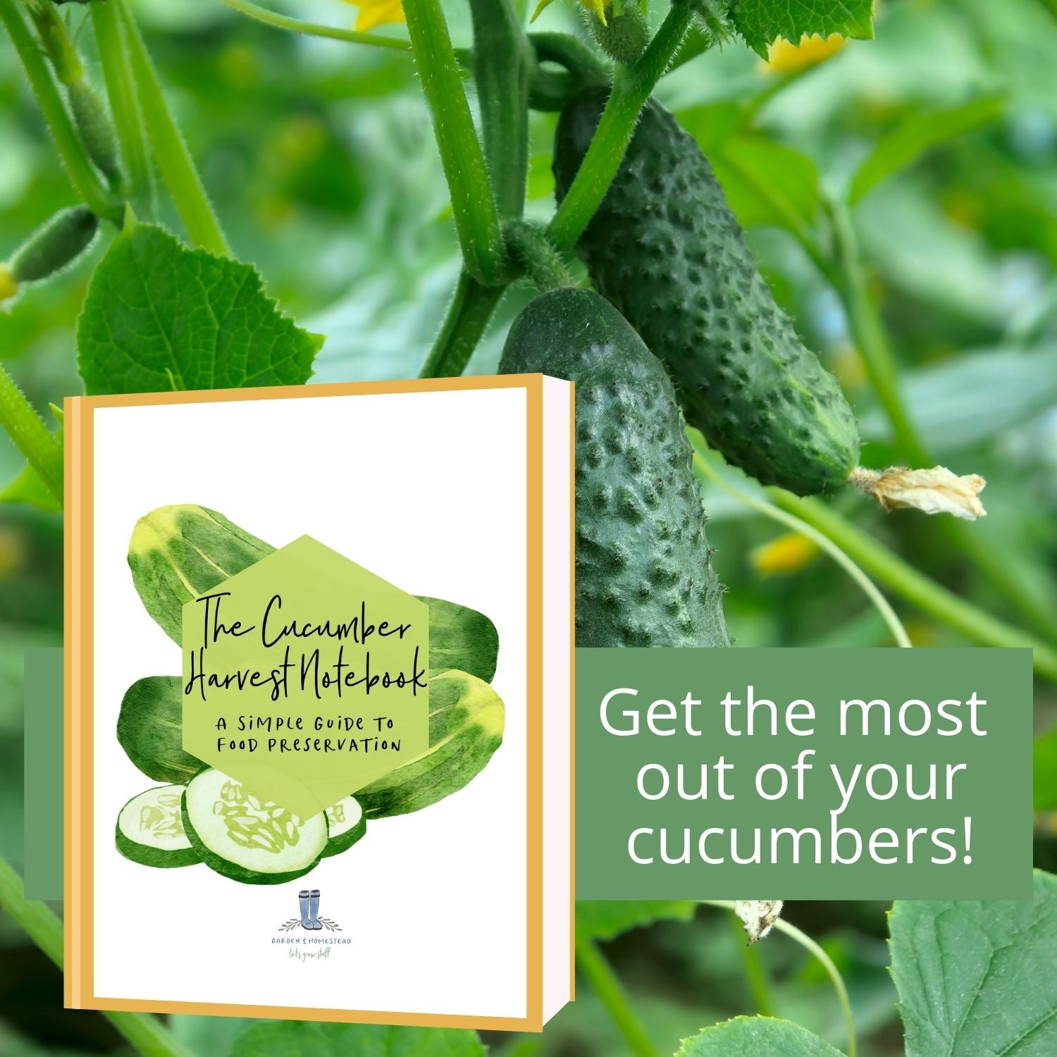 The Cucumber Harvest Notebook