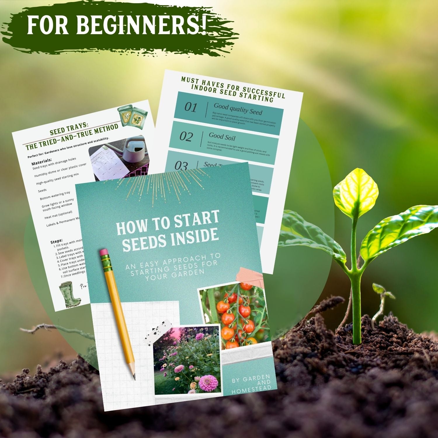 How to start seeds inside- Guide