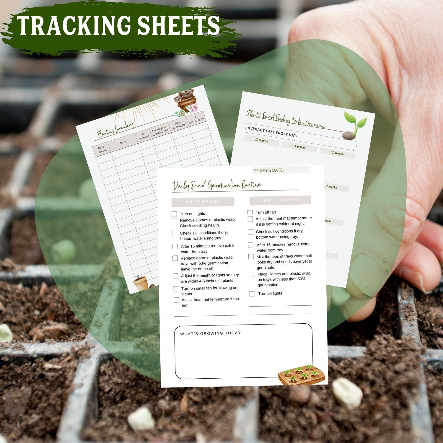 How to start seeds inside- Guide