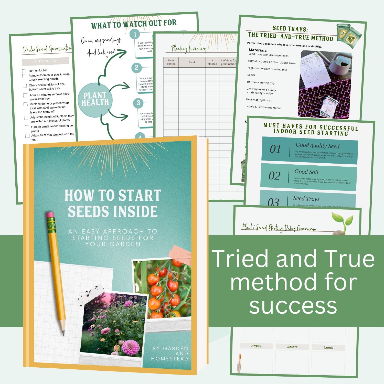 How to start seeds inside- Guide