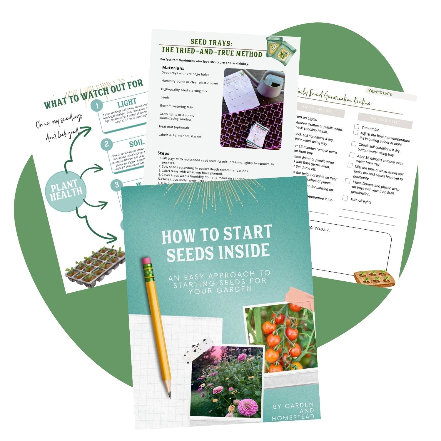 How to start seeds inside- Guide