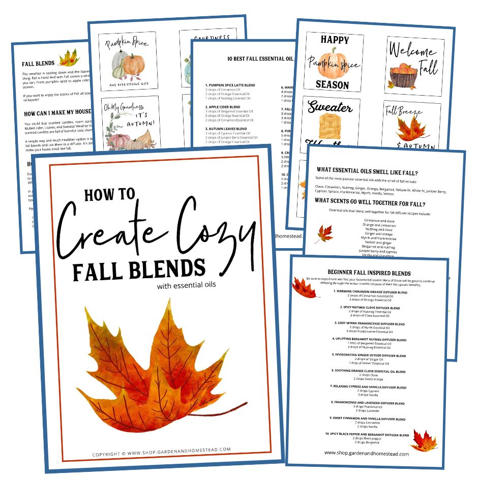 How to create a cozy fall-inspired home