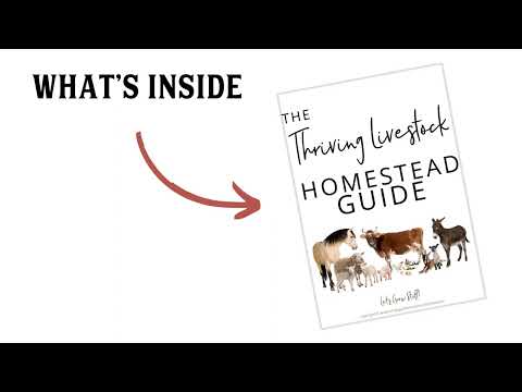The Thriving Homestead Guide
