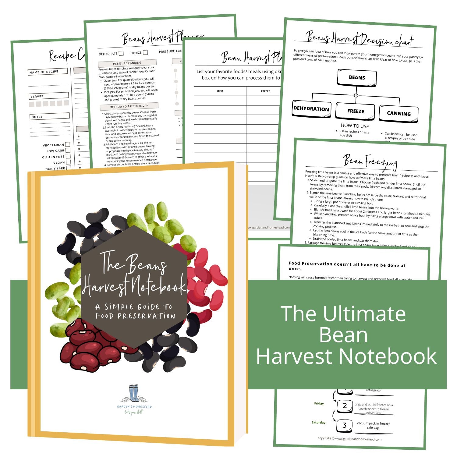 The Bean Harvest Notebook