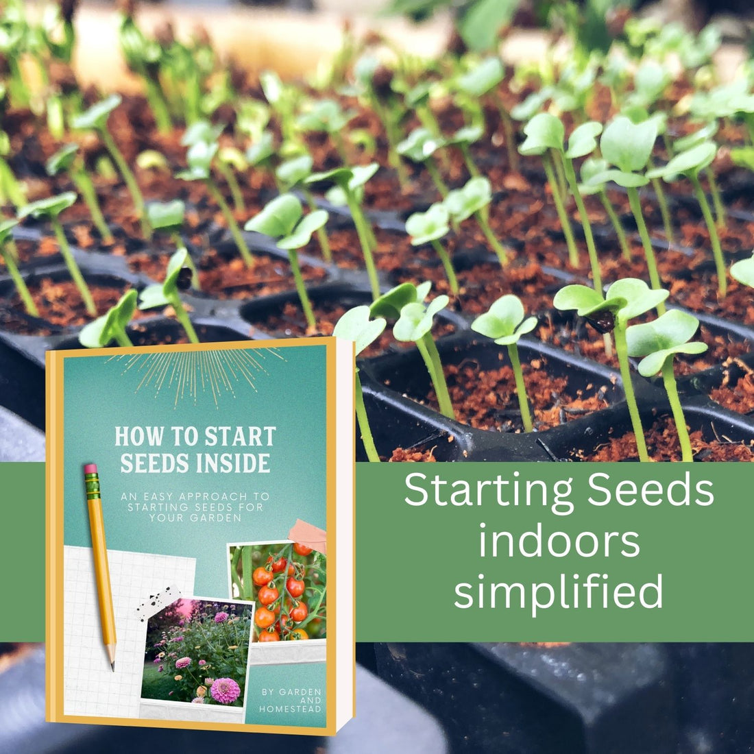 How to start seeds inside- Guide