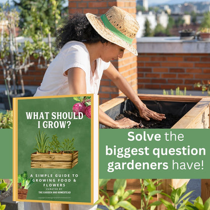 An image of a person planting seeds in a raised bed with the alt text: Get started on your gardening journey by deciding what to grow in your raised beds.