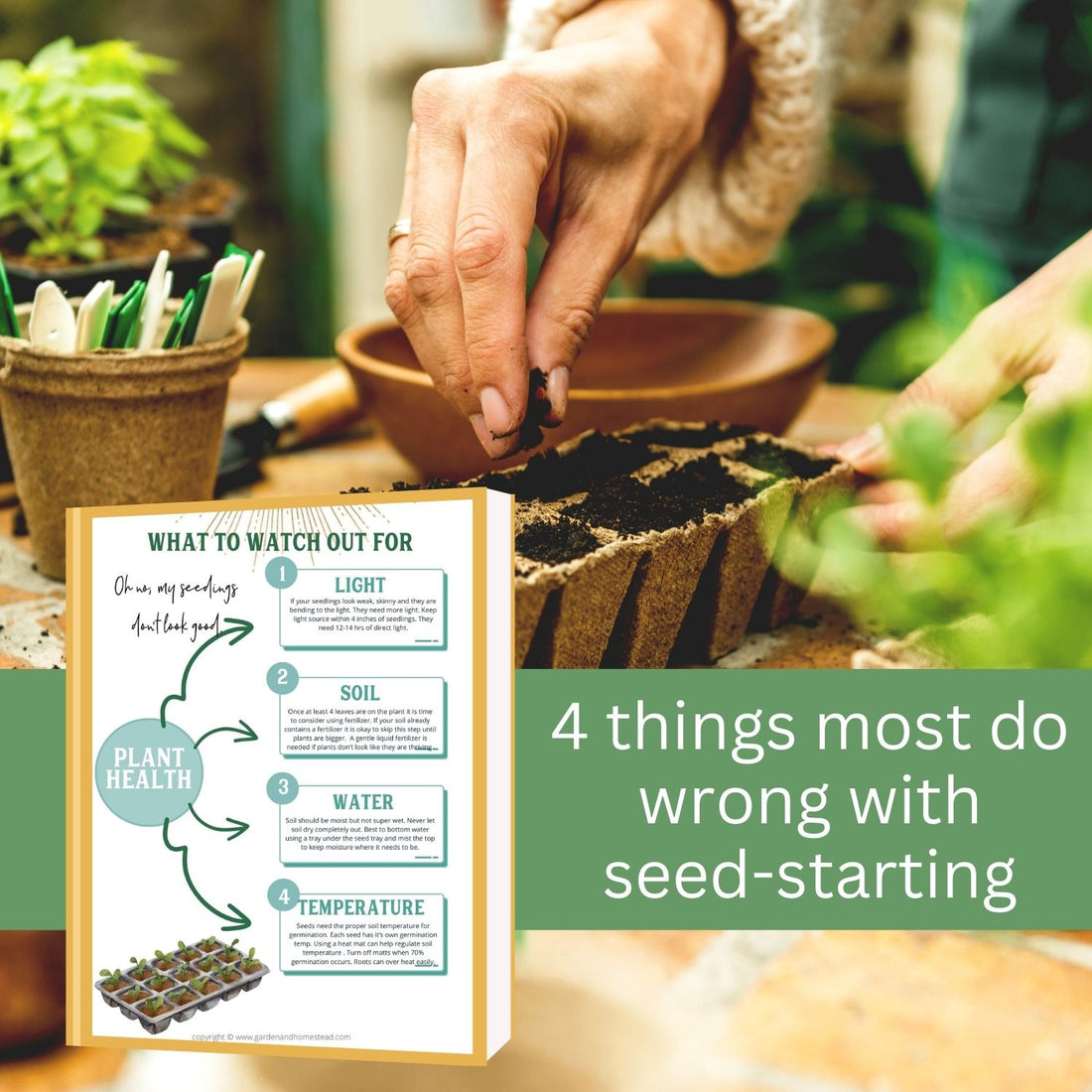 How to start seeds inside- Guide