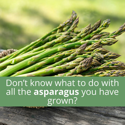 The Asparagus Harvest Notebook