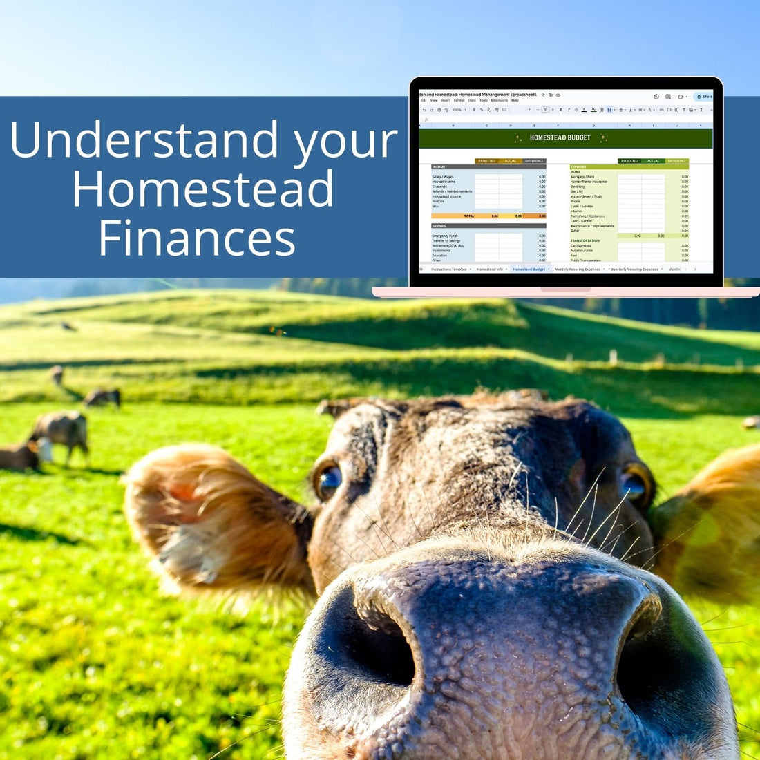 Homestead Management Spreadsheet