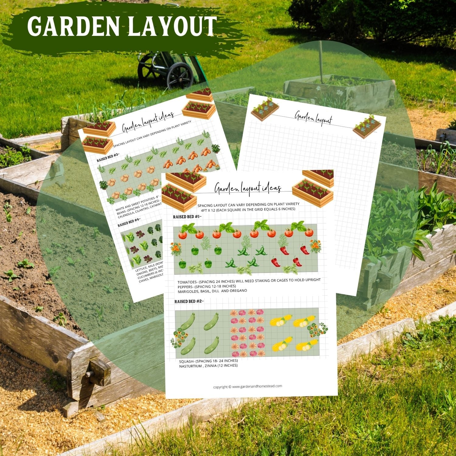 A picture of sunny raised beds filled with plants with the overlay image of 3 garden layout ideas.