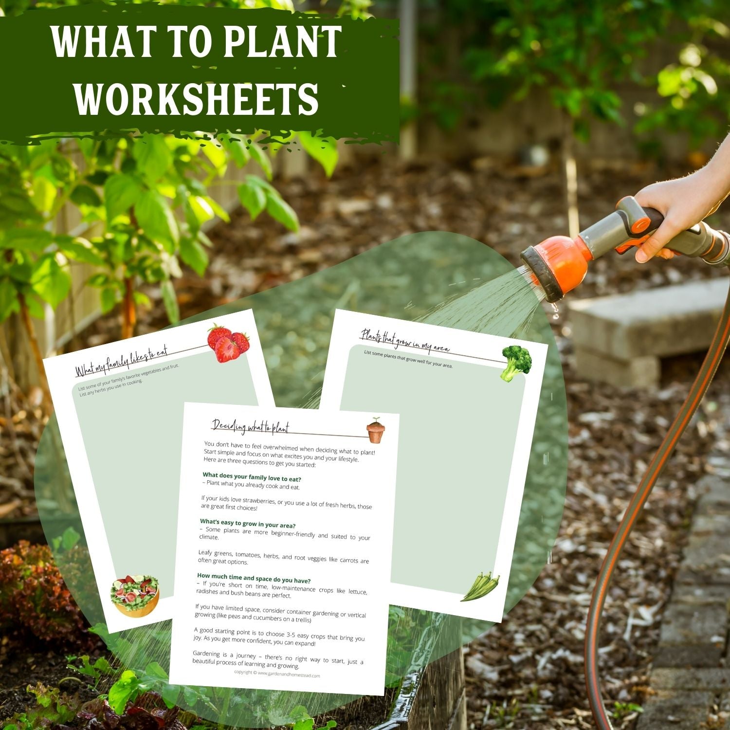 A photo of someone watering a lush vegetable garden with the alt text: Discover what to plant worksheets.