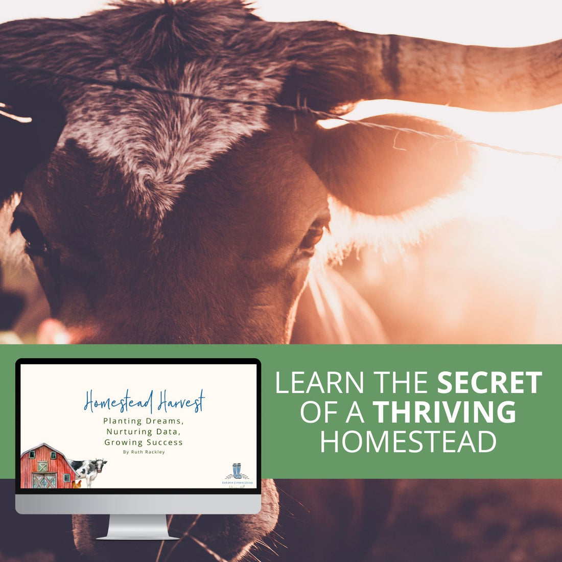 Mini Course- Homestead Harvest