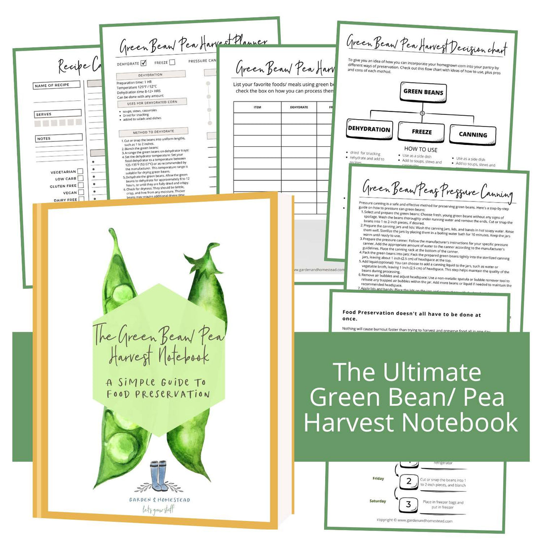 The Green Bean / Pea Harvest Notebook