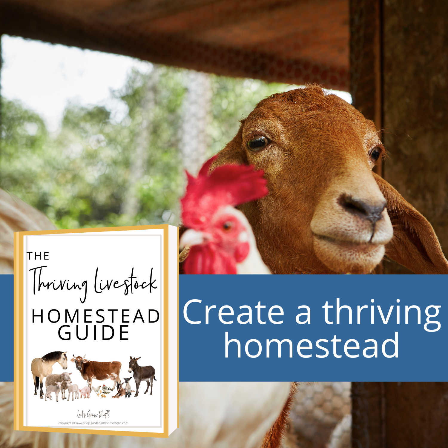 The Thriving Homestead Guide