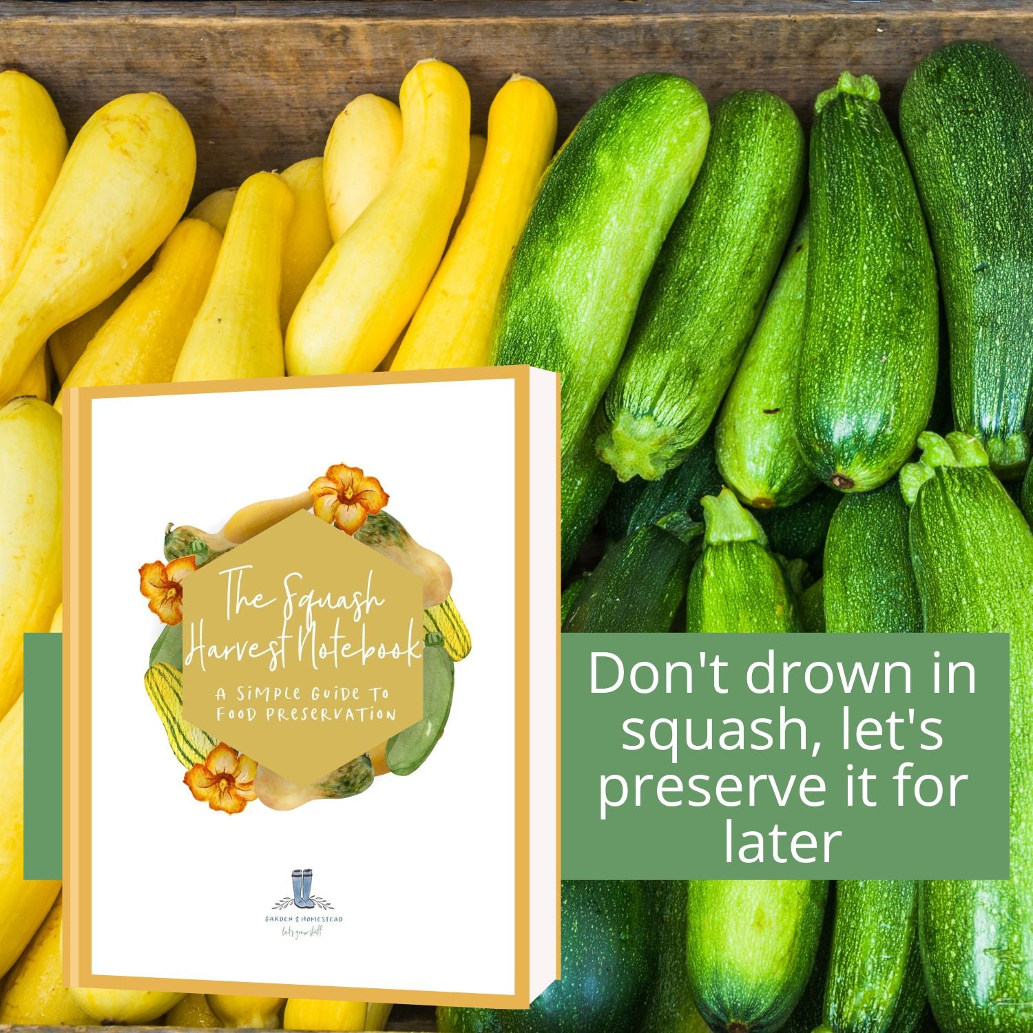 The Squash Harvest Notebook